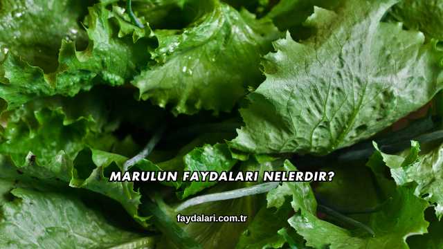 Marulun Faydaları Nelerdir?