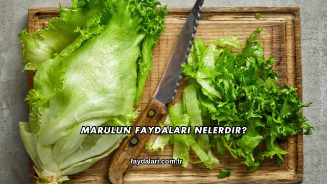 Marulun Faydaları Nelerdir?