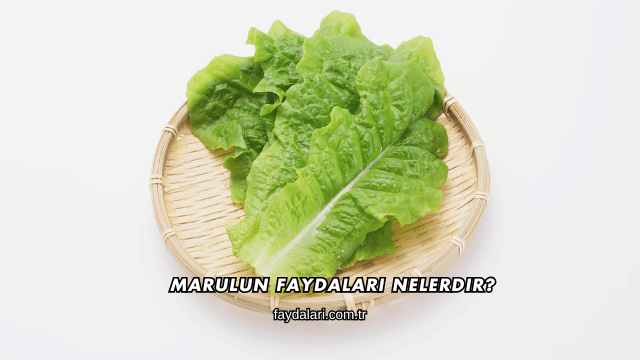 Marulun Faydaları Nelerdir?