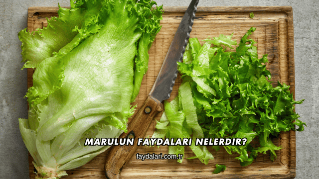 Marulun Faydaları Nelerdir?