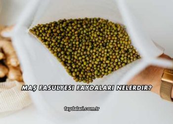 Maş Fasulyesi Faydaları Nelerdir?