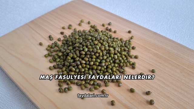 Maş Fasulyesi Faydaları Nelerdir?