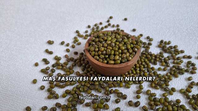 Maş Fasulyesi Faydaları Nelerdir?