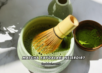 Matcha Faydaları Nelerdir?