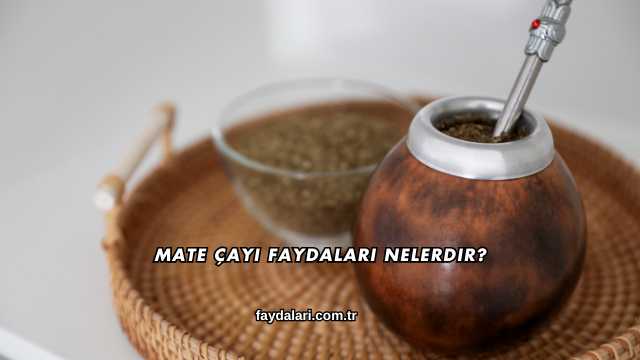 Mate Çayı Faydaları Nelerdir?