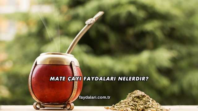 Mate Çayı Faydaları Nelerdir?