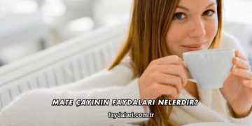 Mate Çayının Faydaları Nelerdir?