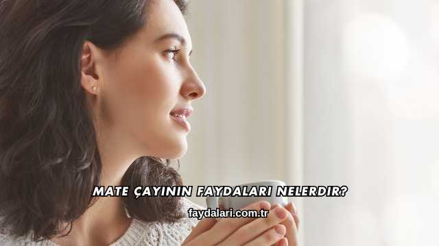 Mate Çayının Faydaları Nelerdir?