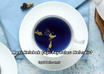 Mavi Kelebek Çayı Faydaları Nelerdir?