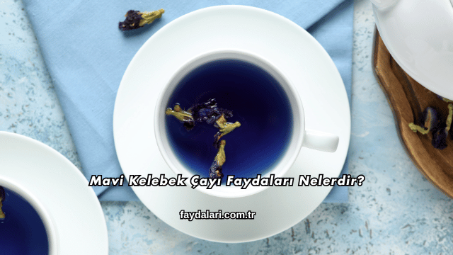 Mavi Kelebek Çayı Faydaları Nelerdir?