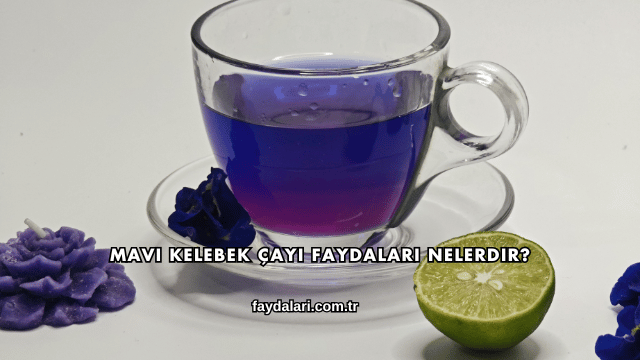 Mavi Kelebek Çayı Faydaları Nelerdir?