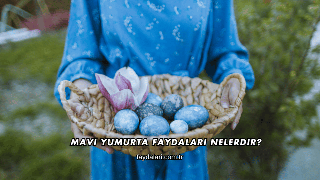 Mavi Yumurta Faydaları Nelerdir?