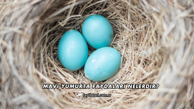 Mavi Yumurta Faydaları Nelerdir?