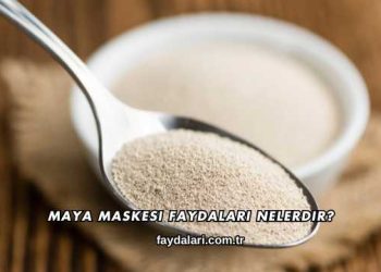 Maya Maskesi Faydaları Nelerdir?