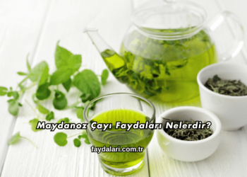 Maydanoz Çayı Faydaları Nelerdir?