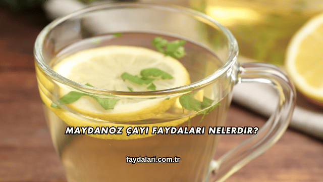 Maydanoz Çayı Faydaları Nelerdir?