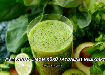 Maydanoz Limon Kürü Faydaları Nelerdir?