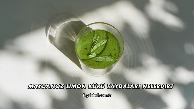 Maydanoz Limon Kürü Faydaları Nelerdir?