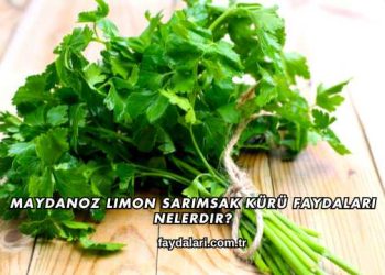 Maydanoz Limon Sarımsak Kürü Faydaları Nelerdir?