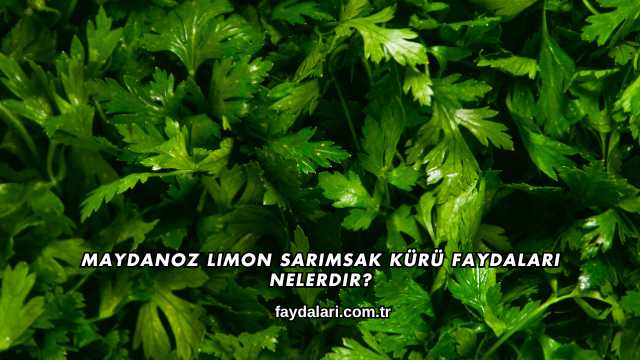 Maydanoz Limon Sarımsak Kürü Faydaları Nelerdir?