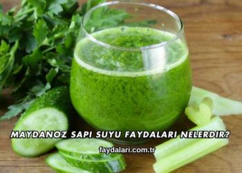 Maydanoz Sapı Suyu Faydaları Nelerdir?