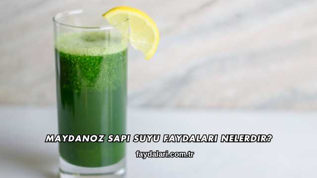 Maydanoz Sapı Suyu Faydaları Nelerdir?