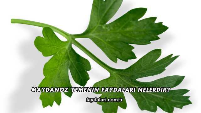 Maydanoz Yemenin Faydaları Nelerdir?