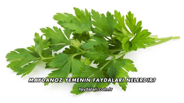 Maydanoz Yemenin Faydaları Nelerdir?