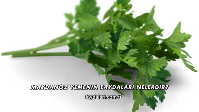 Maydanoz Yemenin Faydaları Nelerdir?