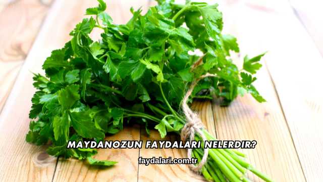 Maydanozun Faydaları Nelerdir?