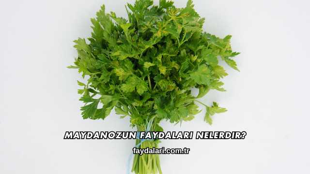 Maydanozun Faydaları Nelerdir?