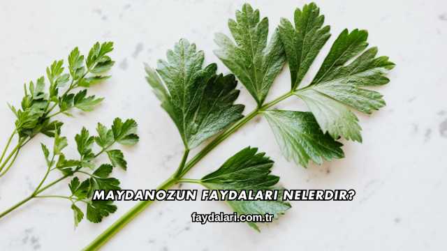 Maydanozun Faydaları Nelerdir?