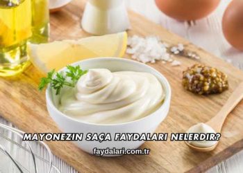 Mayonezin Saça Faydaları Nelerdir?