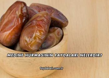 Medine Hurmasının Faydaları Nelerdir?