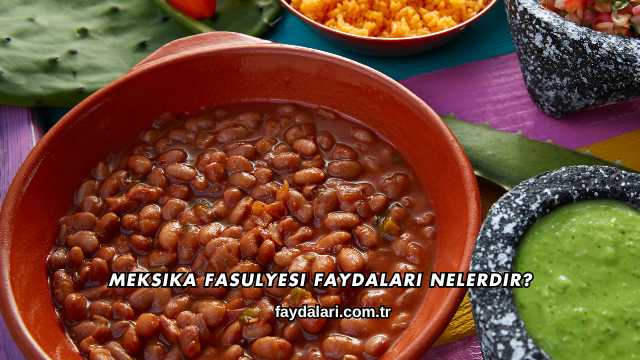 Meksika Fasulyesi Faydaları Nelerdir?