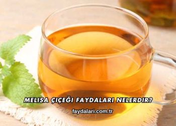 Melisa Çiçeği Faydaları Nelerdir?