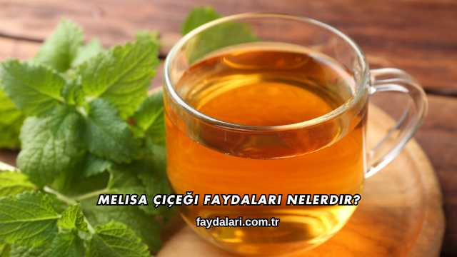 Melisa Çiçeği Faydaları Nelerdir?
