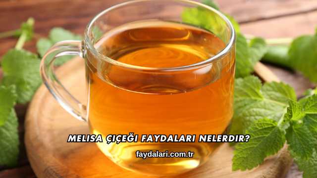 Melisa Çiçeği Faydaları Nelerdir?
