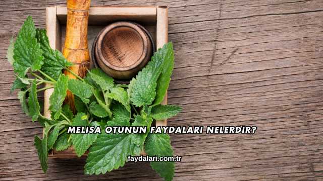 Melisa Otunun Faydaları Nelerdir?