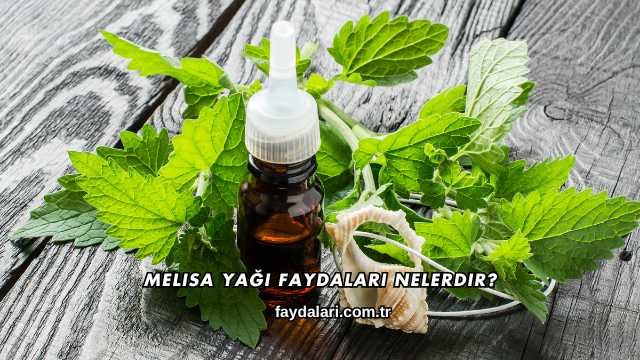 Melisa Yağı Faydaları Nelerdir?