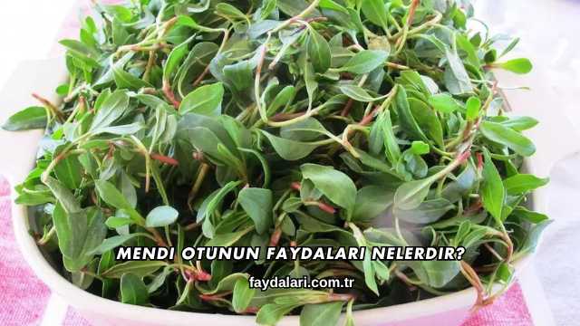 Mendi Otunun Faydaları Nelerdir?