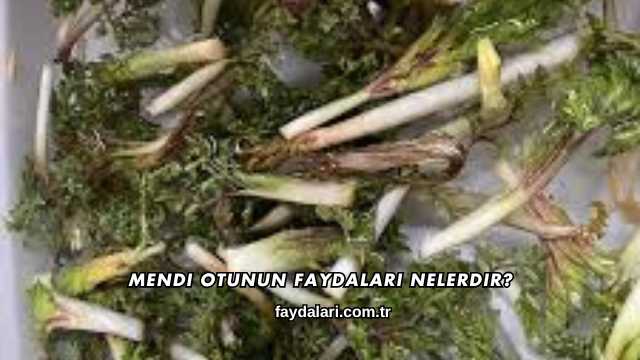 Mendi Otunun Faydaları Nelerdir?