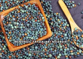 Menengiç Faydaları Nelerdir?