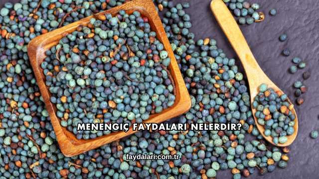 Menengiç Faydaları Nelerdir?