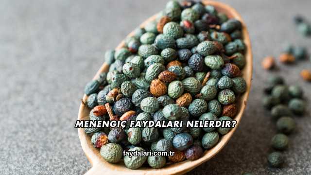 Menengiç Faydaları Nelerdir?