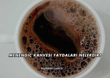 Menengiç Kahvesi Faydaları Nelerdir?
