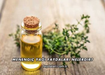 Menengiç Yağı Faydaları Nelerdir?