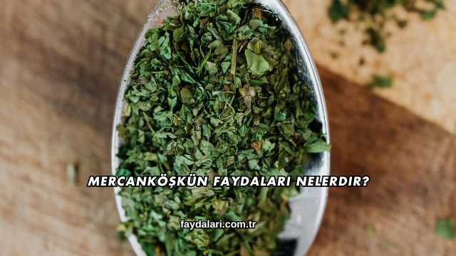 Mercanköşkün Faydaları Nelerdir?