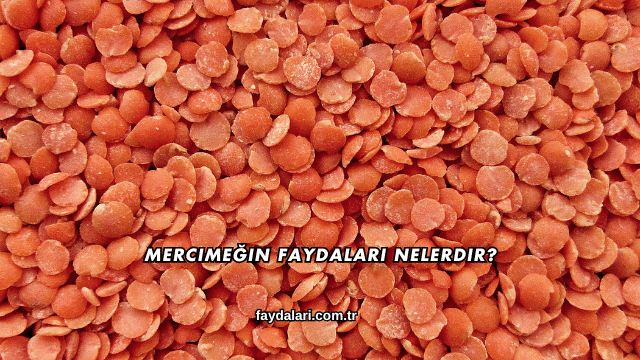 Mercimeğin Faydaları Nelerdir?