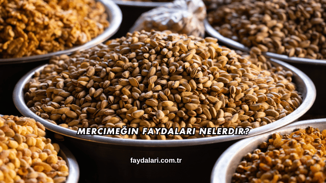 Mercimeğin Faydaları Nelerdir?